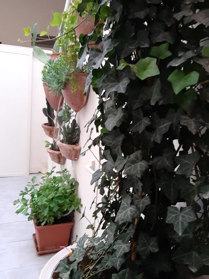 Litium 3 Bed and Breakfast Λέτσε Εξωτερικό φωτογραφία